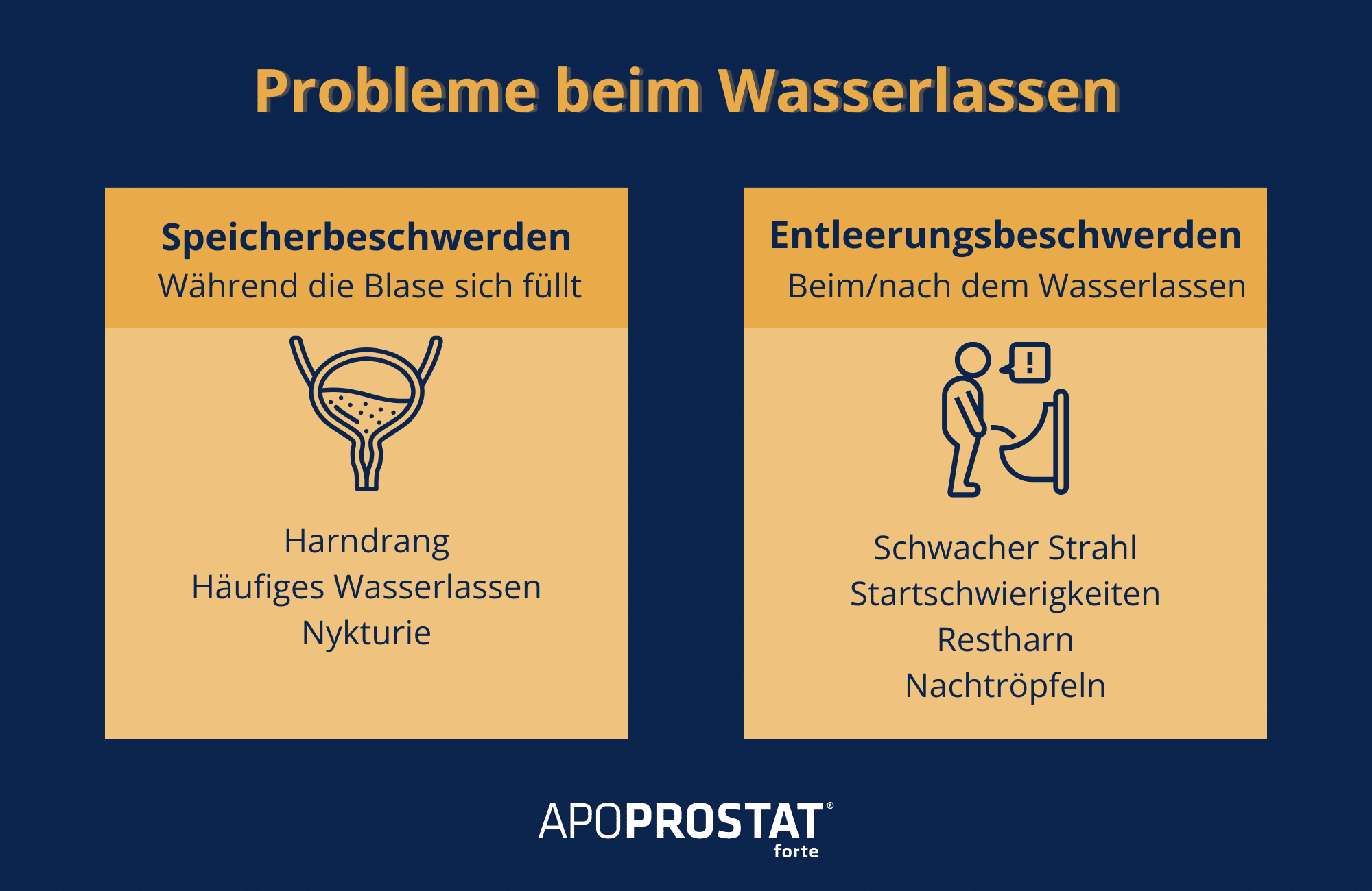 Infografik veranschaulicht die 2 Beschwerdetypen bei Problemen beim Wasserlassen.